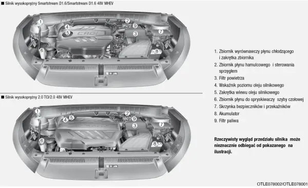 Hyundai Tucson 2.0 benzyna - ważne informacje o rozrządzie i kosztach